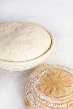 Talisman Designs - Proofing Basket & Embosser