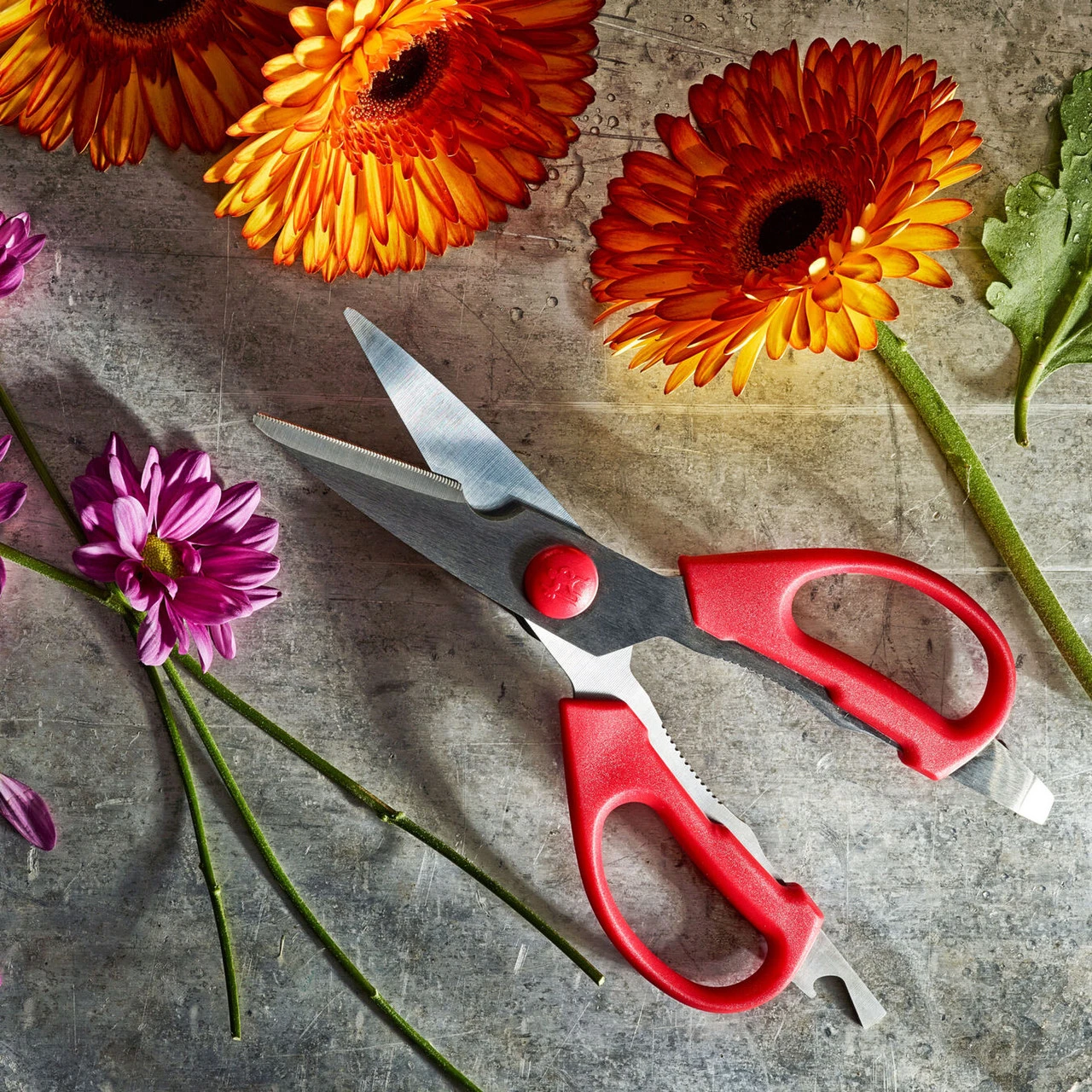 Henckels International - HI Red Detachable Kitchen Shears 5 Henckels International - HI Red Detachable Kitchen Shears - Image 3