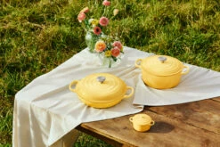 Le Creuset - .24 L (0.25 QT) Camomille Mini Round Cocotte -Home Kitchen Store LC COLOR LAUNCH CAMOMILLE 0976 Final 96401.1717438124
