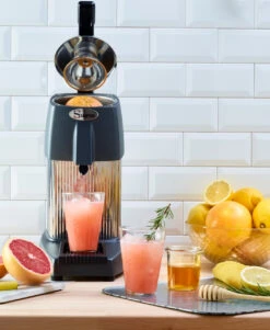 Omcan - Santos #10 Citrus Juice Extractor W/ Lever - 39687 -Home Kitchen Store SANTOS 10 Juicer A3 hd 41574.1707487019